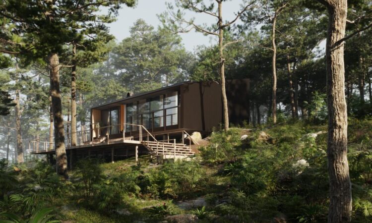 THE FOREST HOUSE