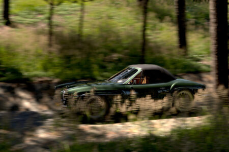 AUTOMOBILE-CAR IN THE FOREST